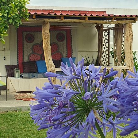 Casinha D'Alice Et Serge Cela Velha ภายนอก รูปภาพ